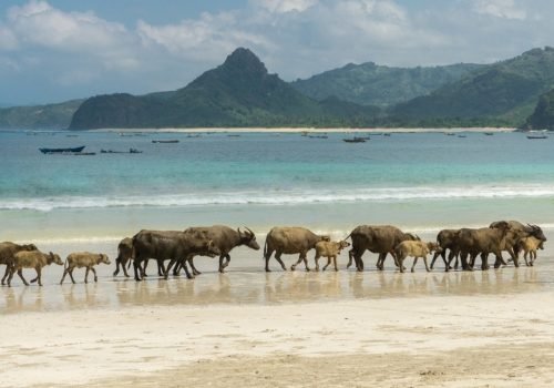 Wisata Pantai di Lombok