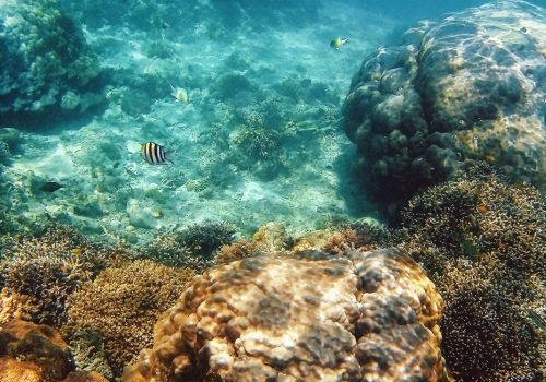 snorkeling gili nanggu